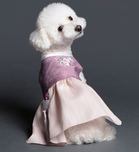 Load image into Gallery viewer, Korean Dress Pet Purple Hanbok
