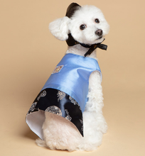Load image into Gallery viewer, Korean Dress Pet Durumagi Hanbok
