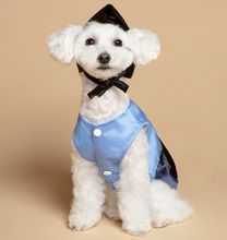 Load image into Gallery viewer, Korean Dress Pet Durumagi Hanbok

