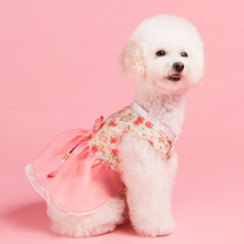 Load image into Gallery viewer, Korean Dress Pet Hanbok Pink Rose
