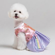 Load image into Gallery viewer, Korean Pet Princess Hanbok Pink Purple
