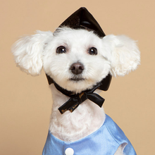 Load image into Gallery viewer, Korean Hat Pet Hanbok
