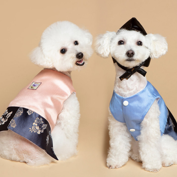 Korean Dress Pet Durumagi Hanbok
