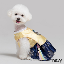 Load image into Gallery viewer, Korean Pet Princess Hanbok
