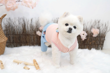 Load image into Gallery viewer, Korean Pet Quilted Hanbok Pants

