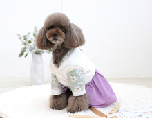 Load image into Gallery viewer, Korean Pet Hanbok Vest
