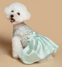 Load image into Gallery viewer, Korean Dress Pet Mint Flower Hanbok
